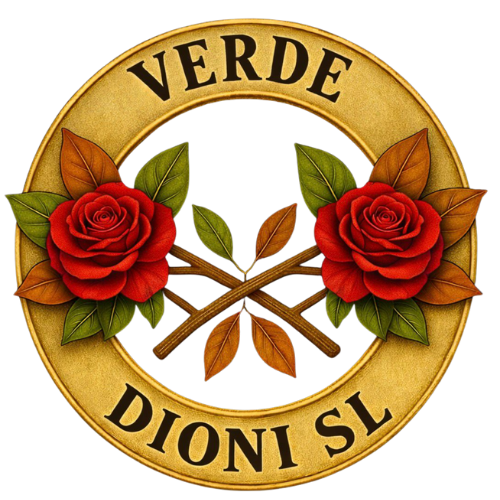 Verde Dioni | Mayorista de flor cortada en Barcelona